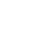 section-seprator-1